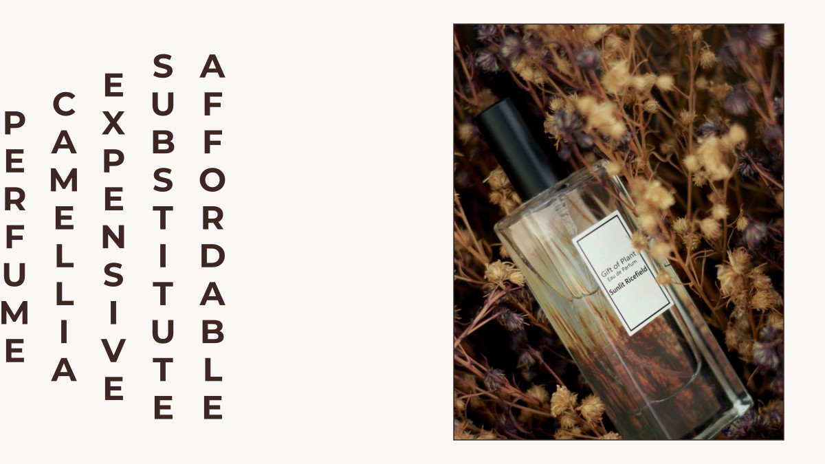 affordable substitute expensive camellia perfume