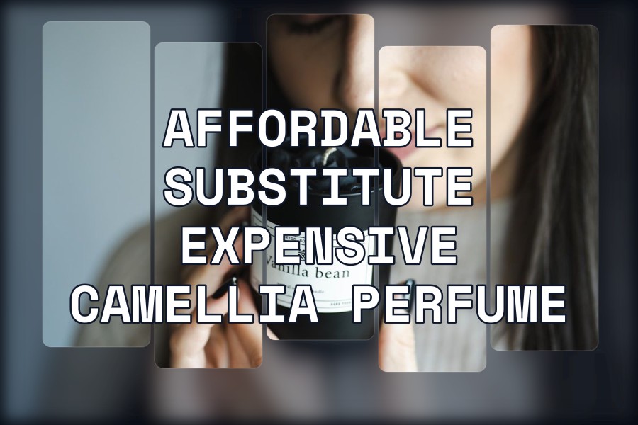 affordable substitute expensive camellia perfume