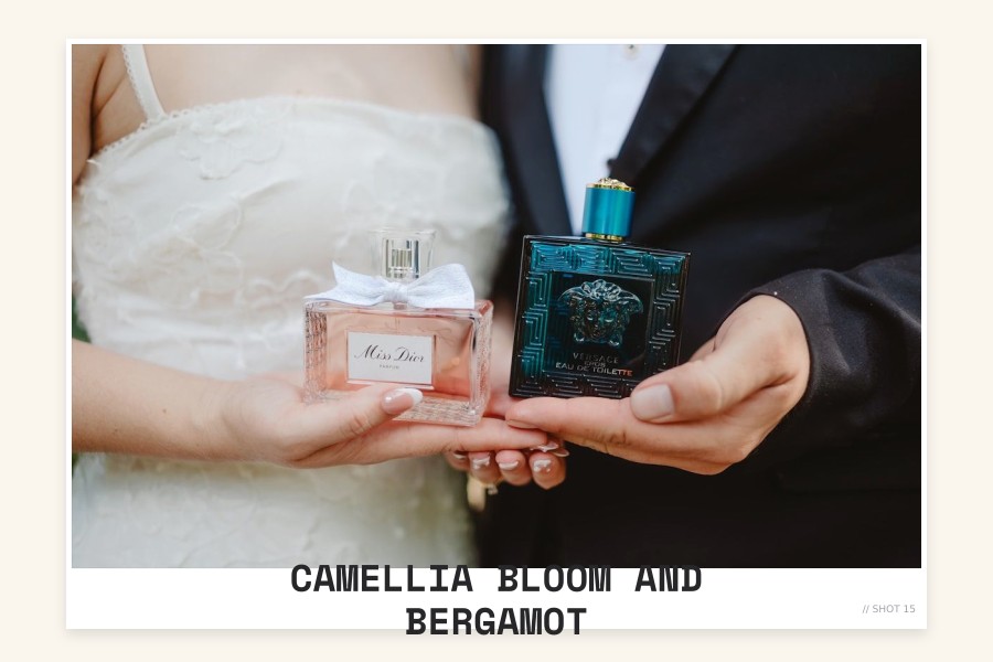 camellia bloom and bergamot