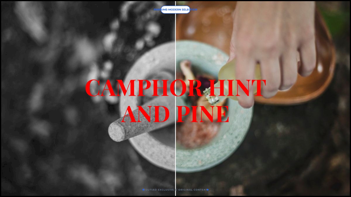 camphor hint and pine