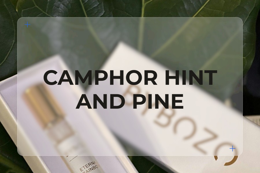 camphor hint and pine