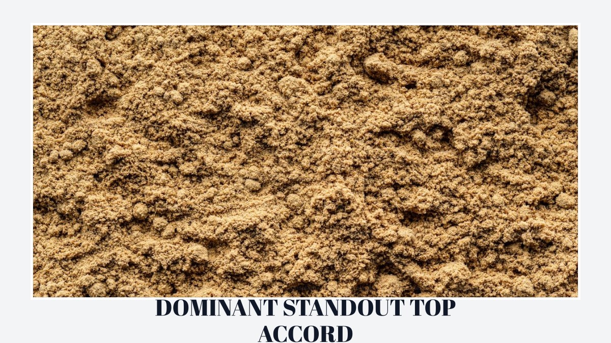 dominant standout top accord