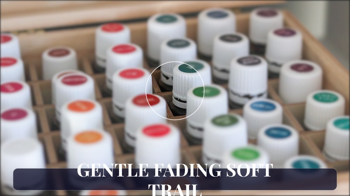 gentle fading soft trail