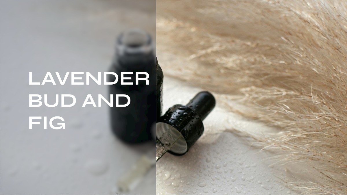 lavender bud and fig