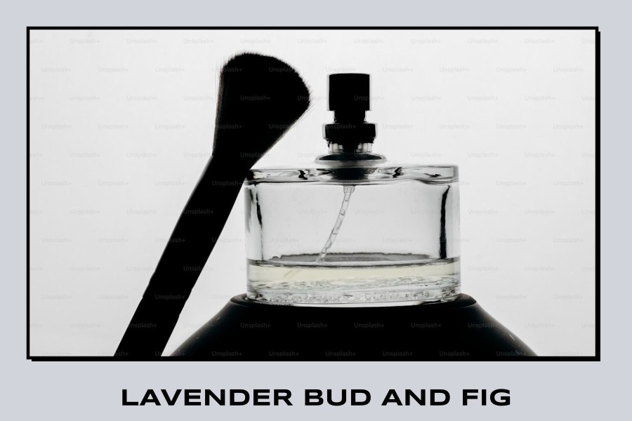 lavender bud and fig