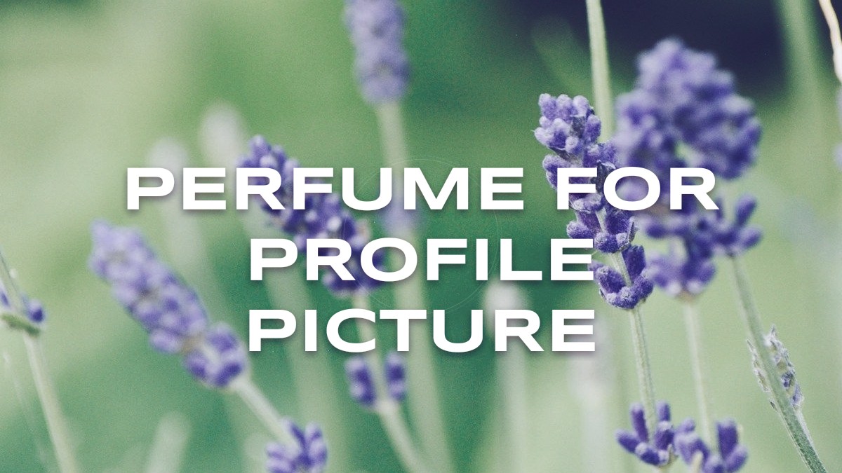 perfume for profile picture