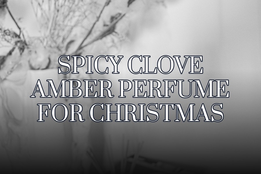 spicy clove amber perfume for christmas