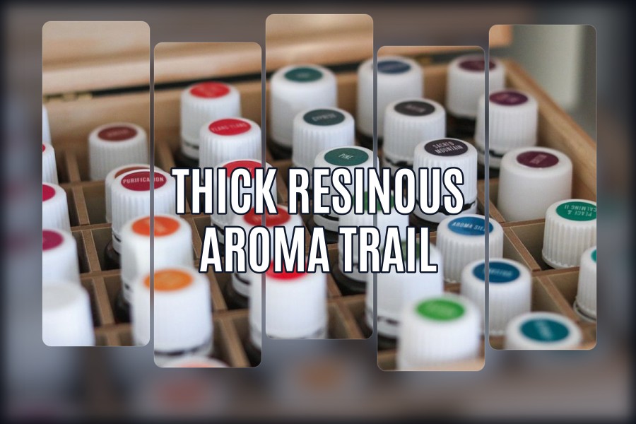 thick resinous aroma trail