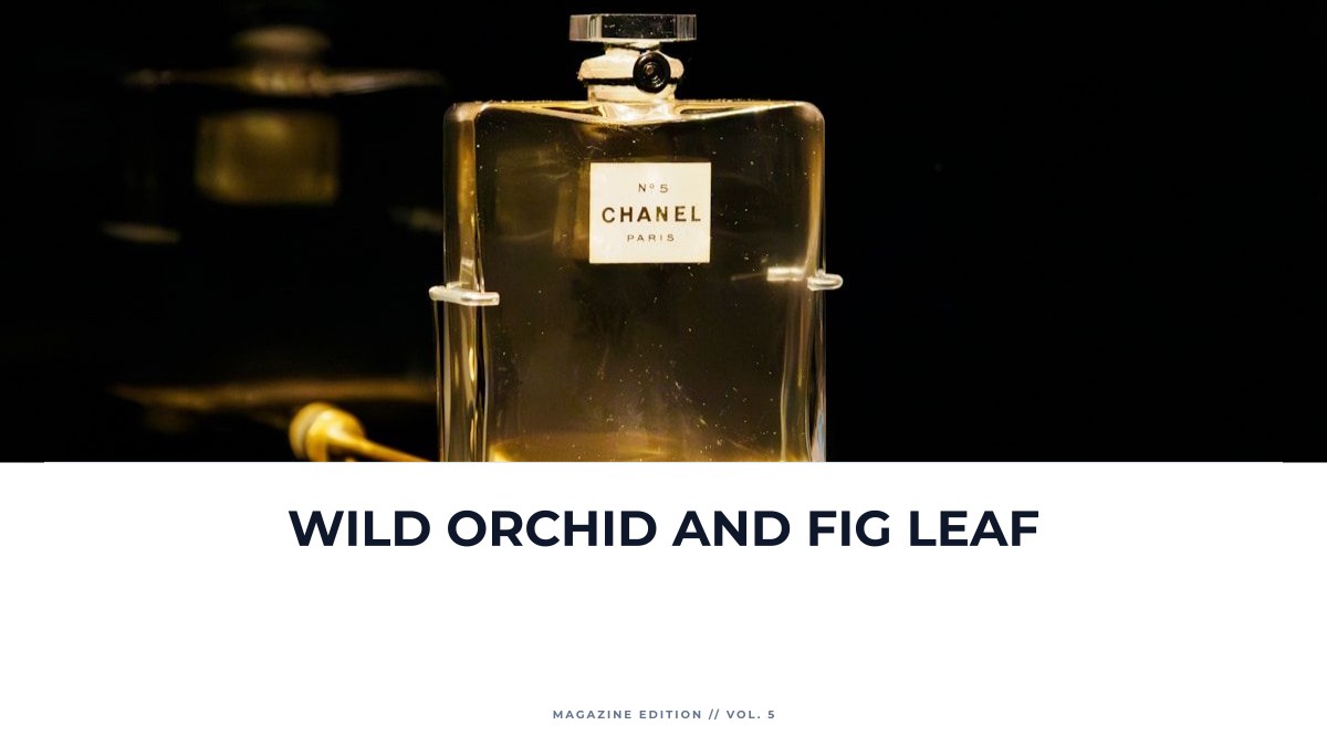 wild orchid and fig leaf