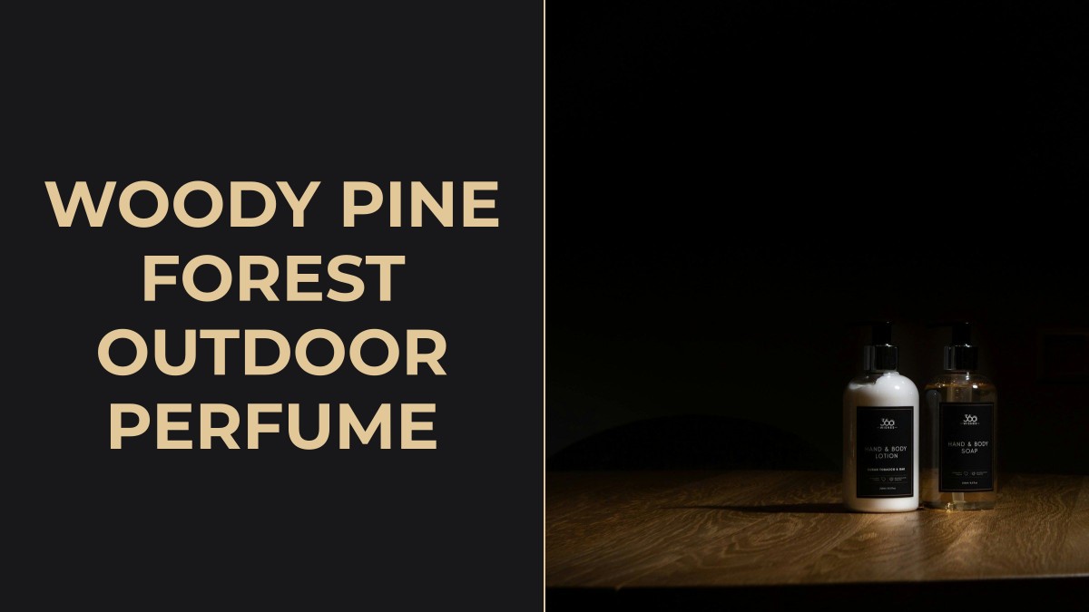 woody pine forest outdoor perfume