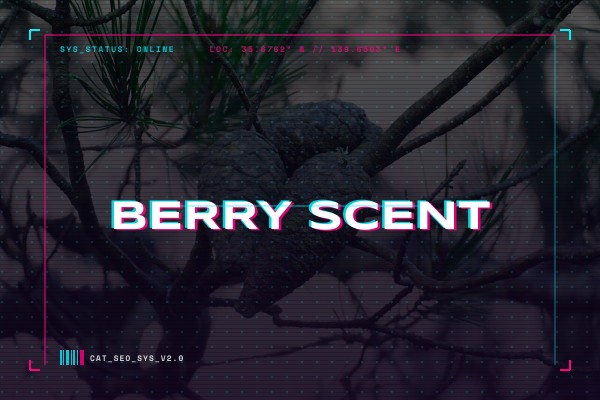 berry scent